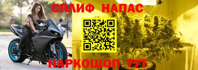 молекула духа Партизанск
