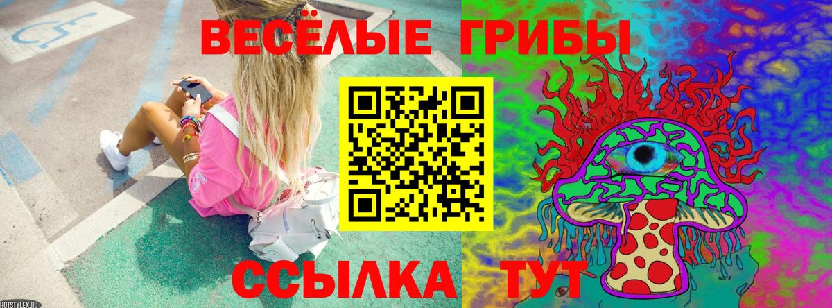 Псилоцибиновые грибы Psilocybine cubensis Сегежа