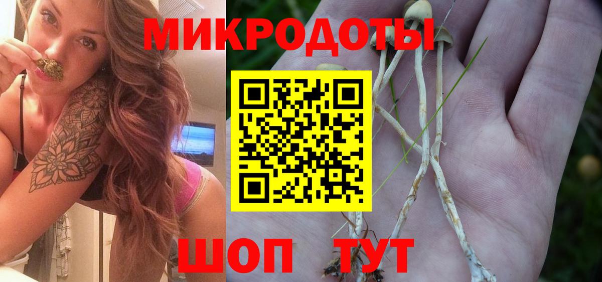 Псилоцибиновые грибы ЛСД  Вход с VPN  Галлюциногенные грибы Psilocybe  Сегежа 